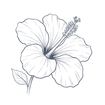 A black hibiscus flower illustration with leaves on a black background at Naviti Resort Fiji Coral Coast