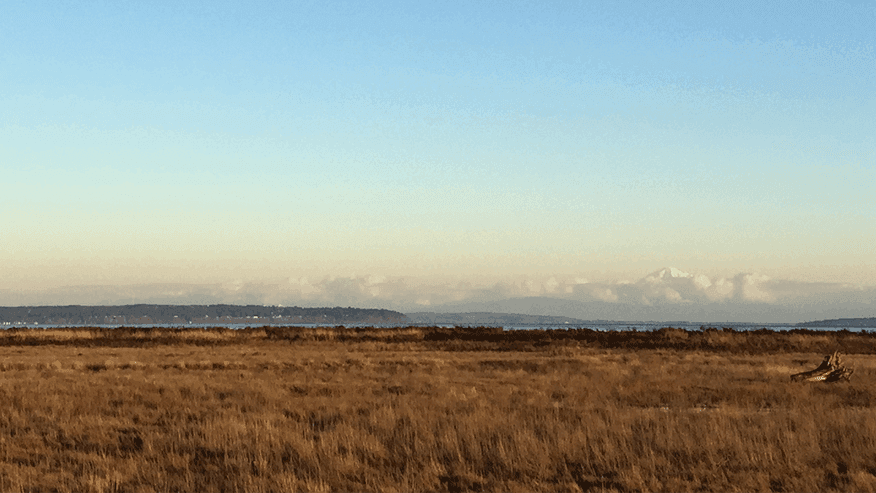 Vast land with ocean and mountains in background