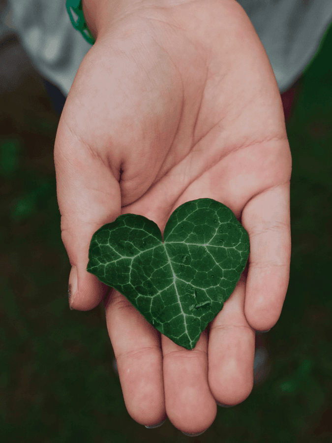 Main tenant délicatement une feuille verte en forme de cœur symbolisant l'engagement écologique et durable