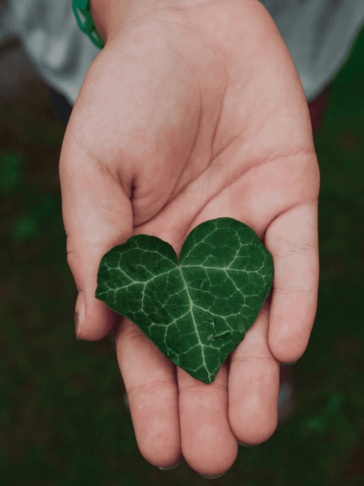 Main tenant délicatement une feuille verte en forme de cœur symbolisant l'engagement écologique et durable