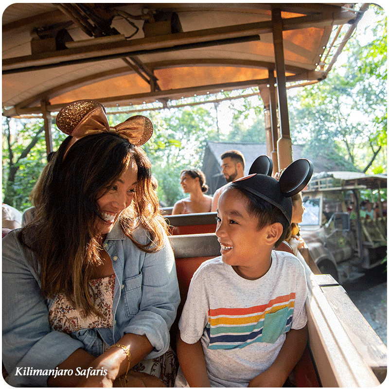 Kilimanjaro Safaris