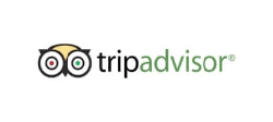 The logo of TripAdvisor used at Fiesta Inn