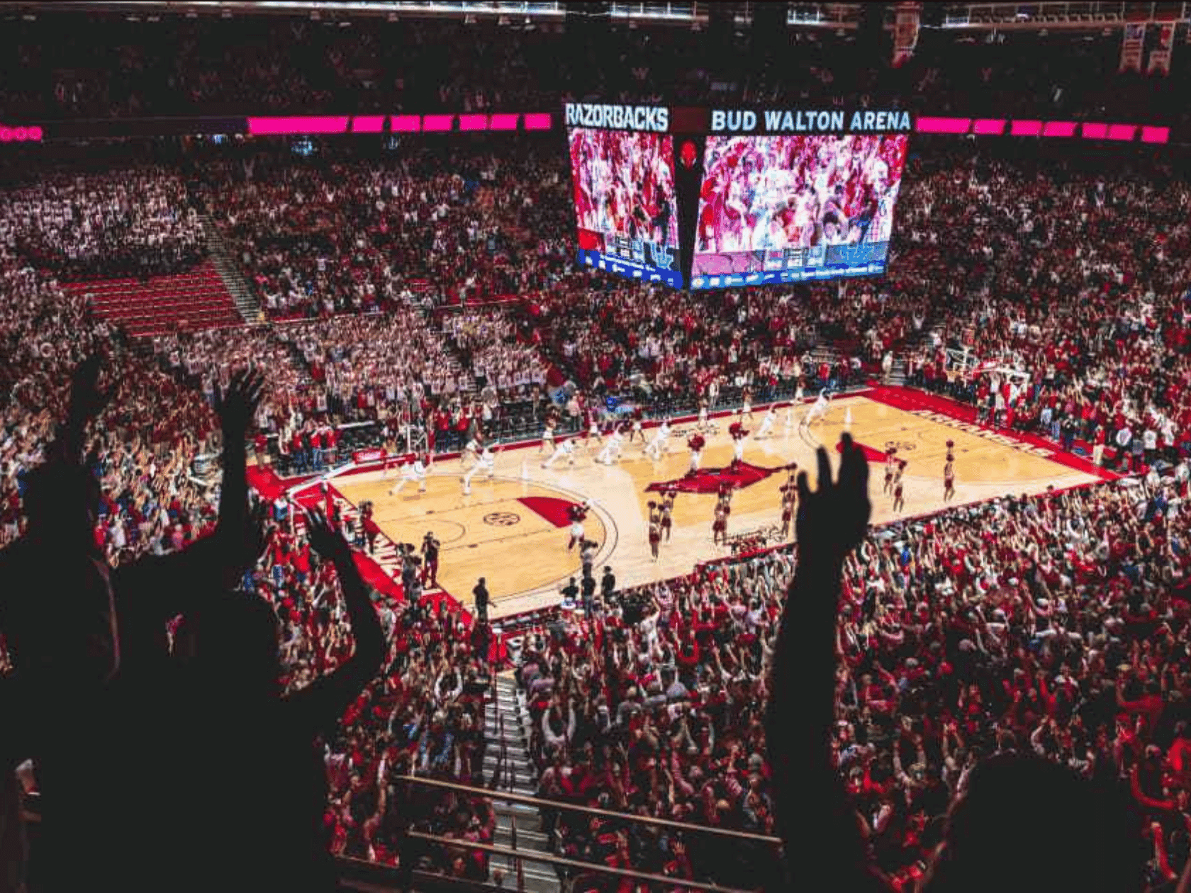 Crowded Bud Walton Arena with basketball players on court and large screen displaying Razorbacks during a game.