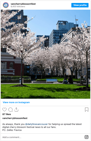 The Best Places To See Spring Blossoms In Vancouver