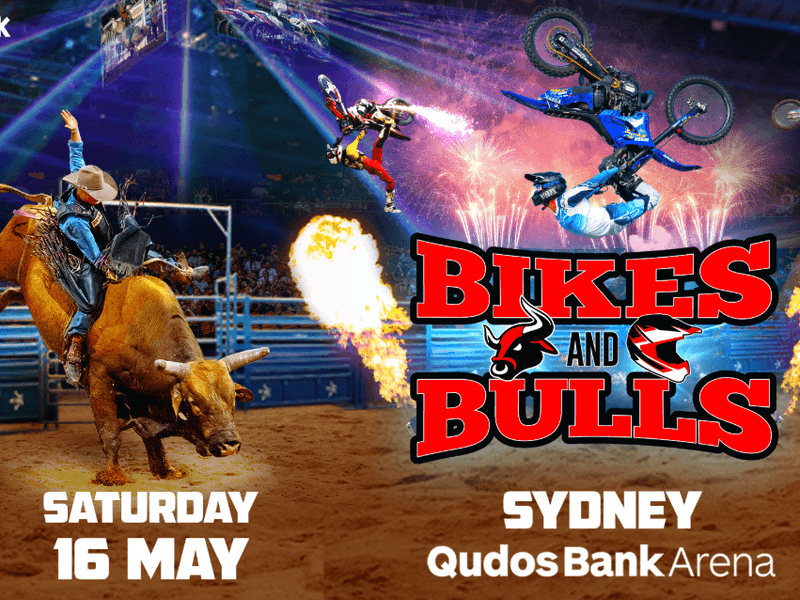 Bikes and Bulls Pullman Sydney Olympic Park