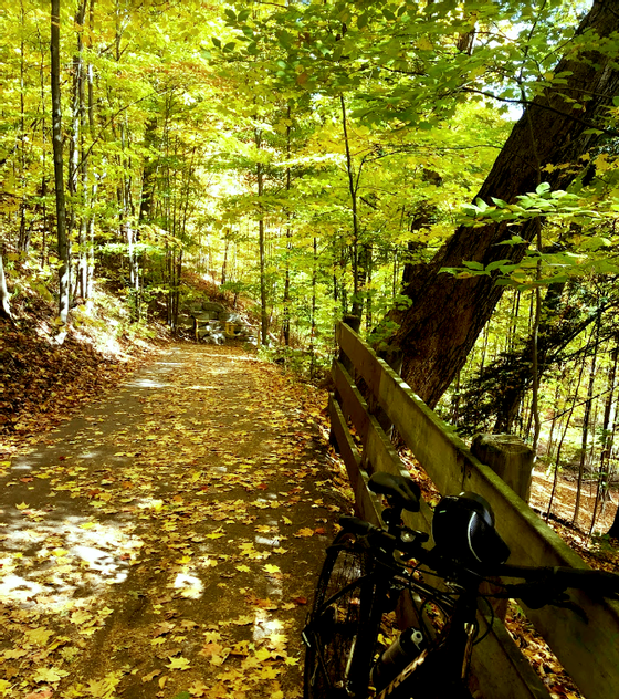 Hotels near Sixteen Mile Creek - Monte Carlo Inns Oakville