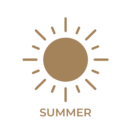 summer in boise idaho