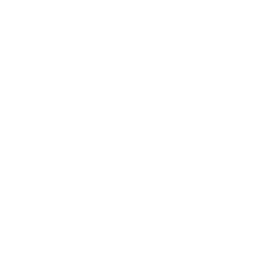 logo_white