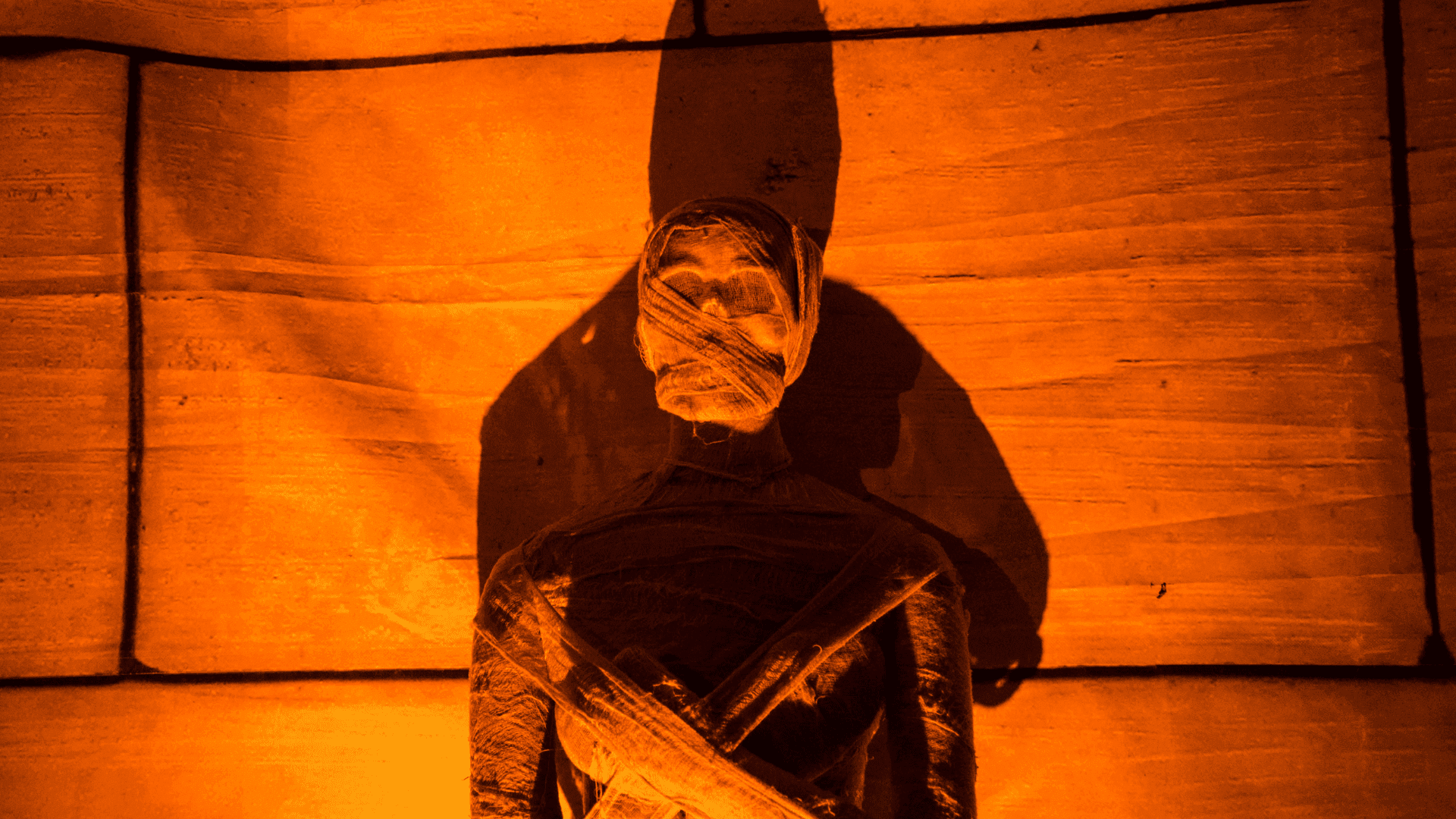 Detailed cultural display in Museo de las Momias featuring a traditional mummy exhibit near Real Inn Celaya