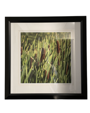 Wall art of a grass field with black frame at Hotel 43