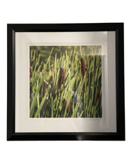 Wall art of grass field at Hotel 43