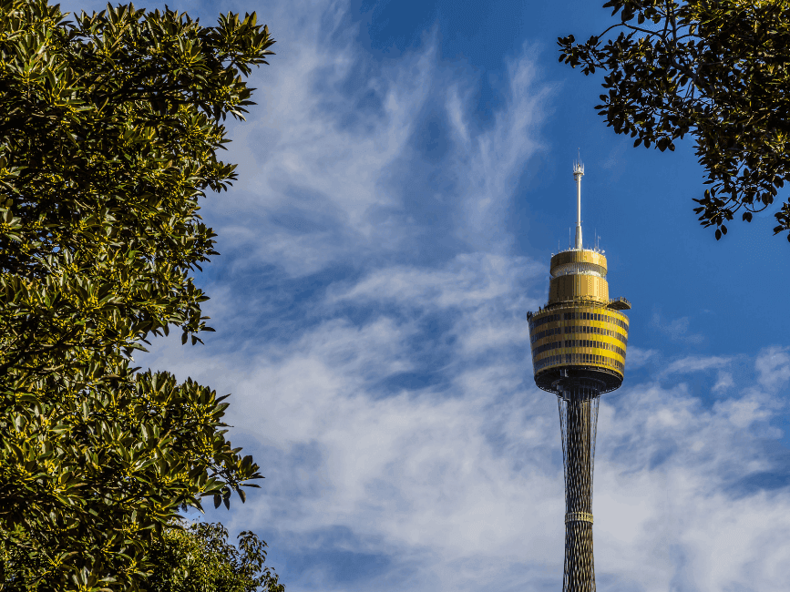Sydney Tower seen through tree branches against a blue sky.