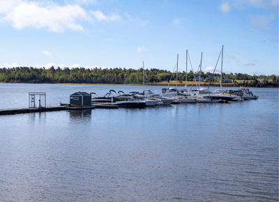 Beautiful sunny day view of white yachts and boats docked at the calm marina waters by Rodd Hotels & Resorts