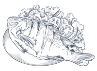 Artistic line drawing of a fish on a plate with vegetables at Warwick Fiji Resort and Spa.