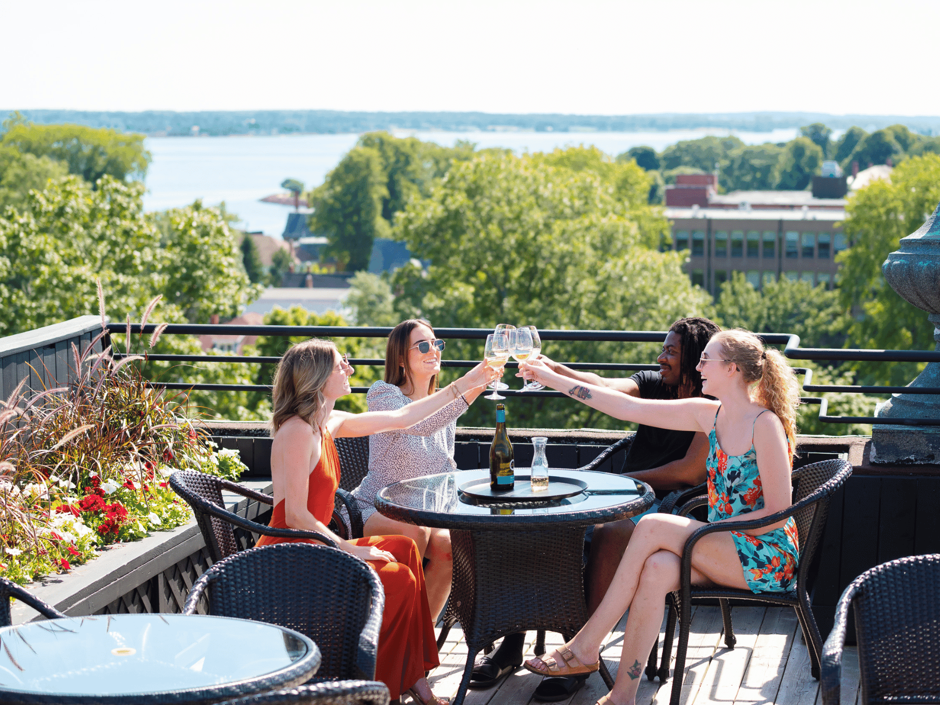 Four friends on a sunlit rooftop patio raising wine glasses in a toast, overlooking a scenic bay at Rodd Hotels & Resorts