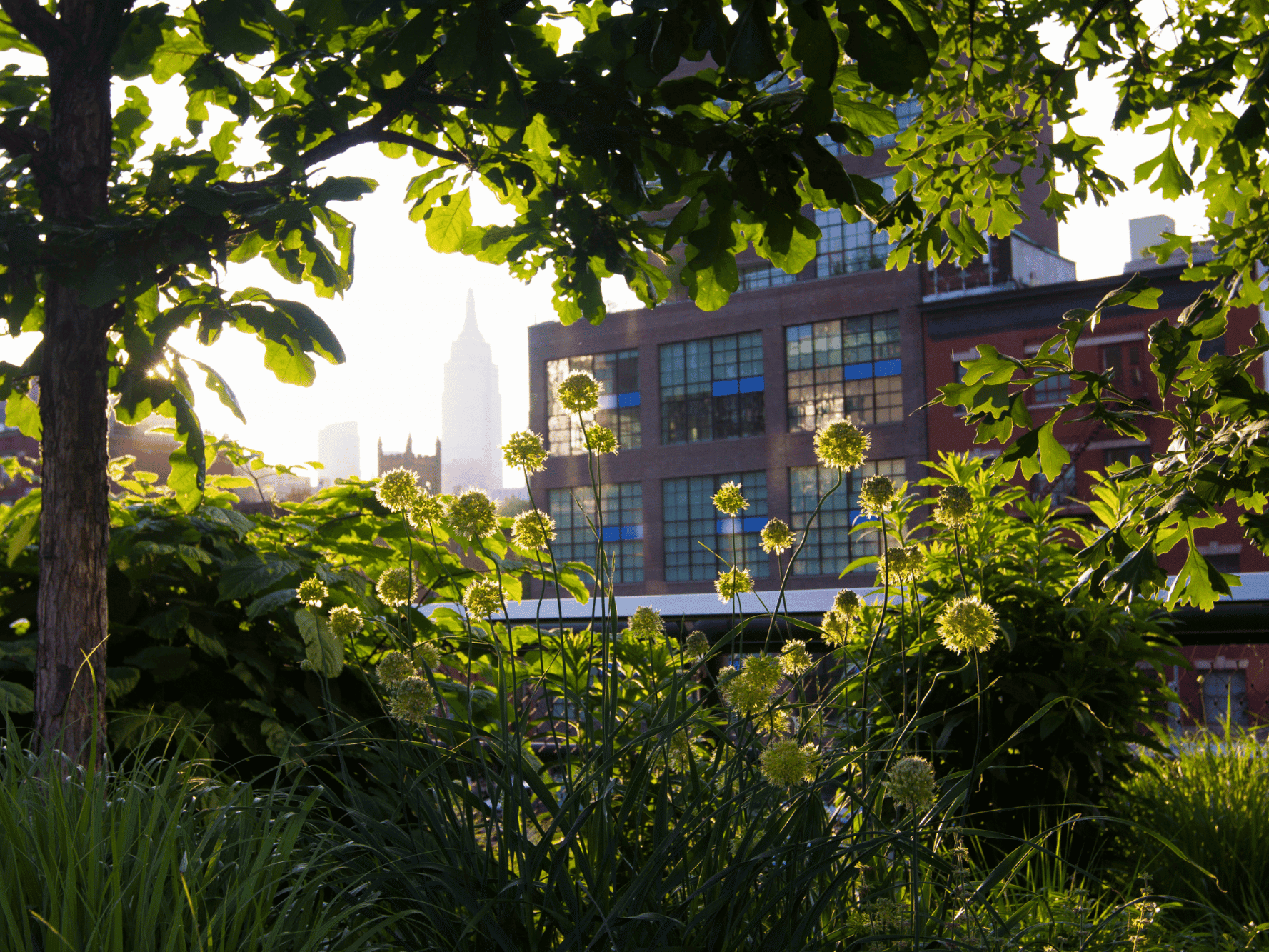 Garden with trees and flowers in front of multi-story buildings with a tall skyscraper in the distance.