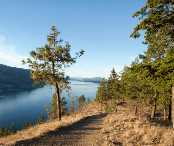 Landscape view with lake area near Hotel Eldorado