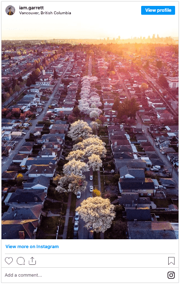 The Best Places To See Spring Blossoms In Vancouver