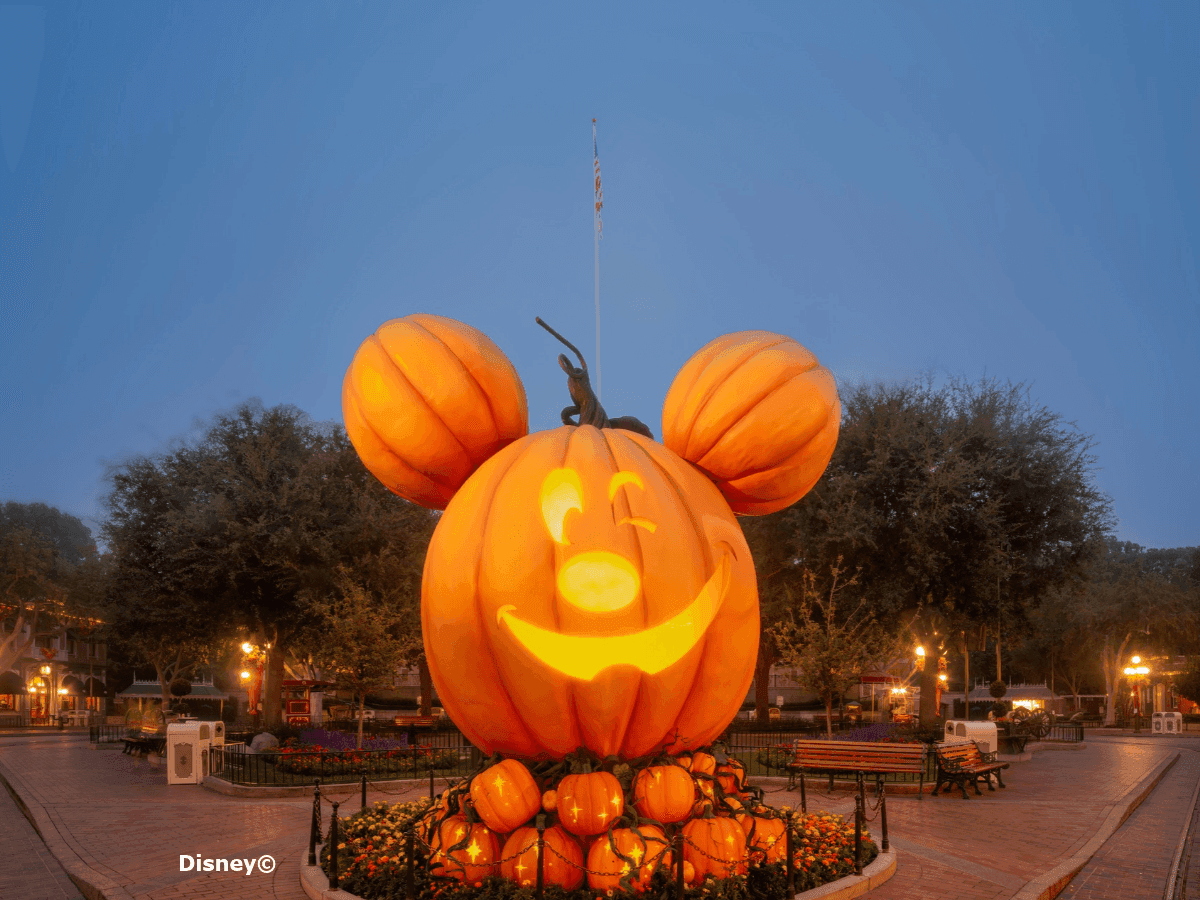 Giant illuminated pumpkin sculpture with mouse ears displayed in a town square at dusk for Spooky Special.