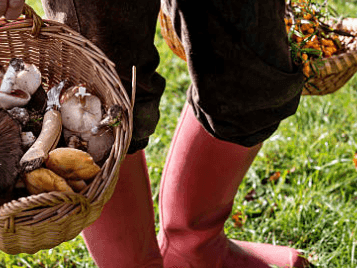 Forest & Field: A Chef’s Foraged Dinner