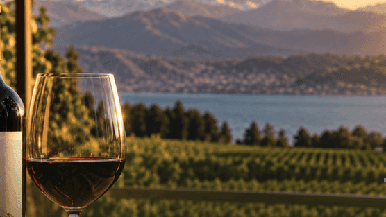 Glass of red wine overlooking scenic vineyard, lake, and mountain landscape at the Wines of Chile Dinner.