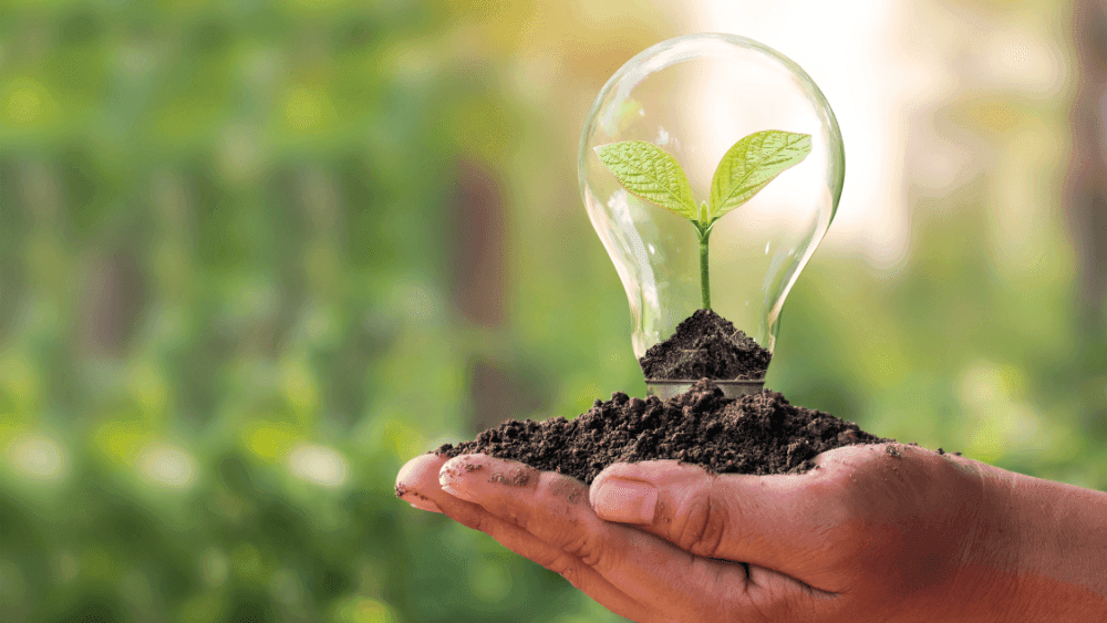 Hands holding a light bulb with a growing plant inside at Novotel Sydney International Airport