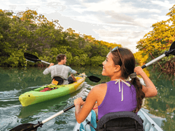 Couple kayakers touring the river of Islamorada near Bayside Inn Key Largo