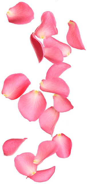 Rose petals design used at Cove Haven Resort