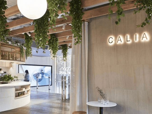 seating area and counter inside Calia Emporium