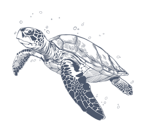 Vector illustration of Ocean Turtle used at Warwick Paradise Island Bahamas