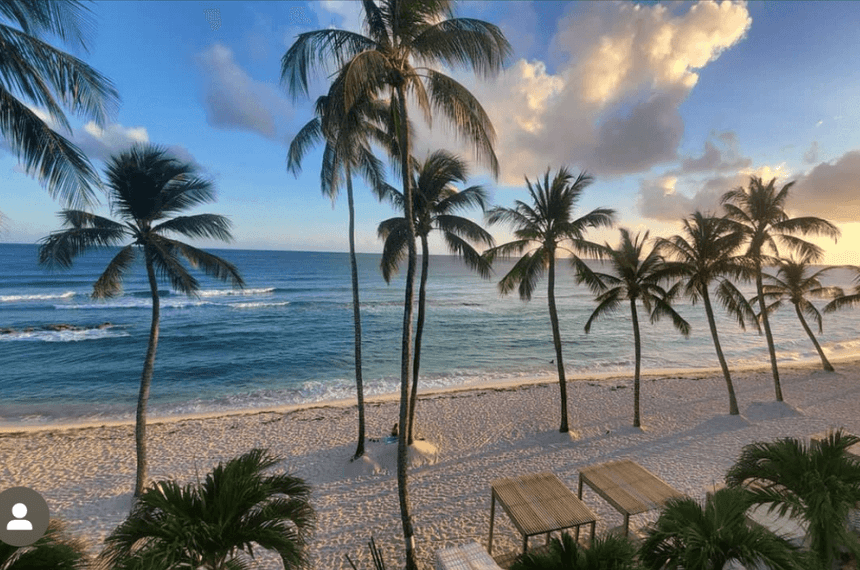 A tropical paradise with palm trees near Sugar Bay Barbados