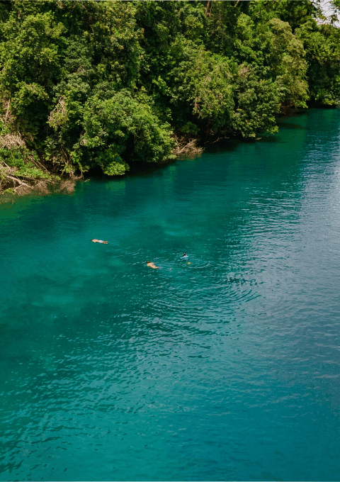 People snorkeling in Cativo Bay near Playa Cativo Lodge