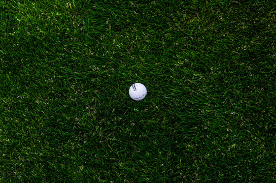 Golf ball on the rough