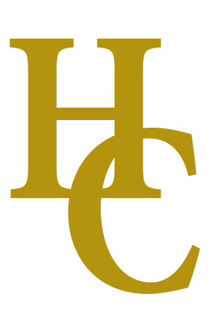 Logo icon