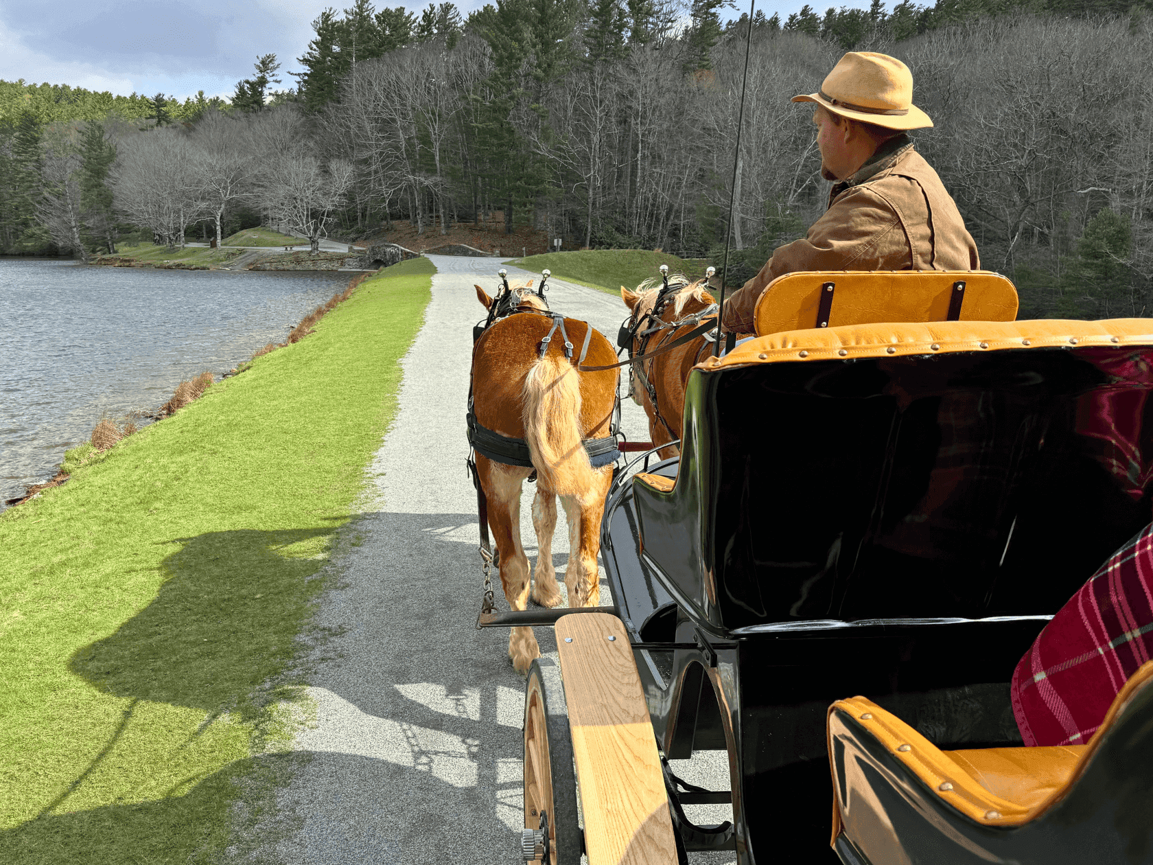 A man drives a horse-drawn carriage along a path by a lake, surrounded by trees.