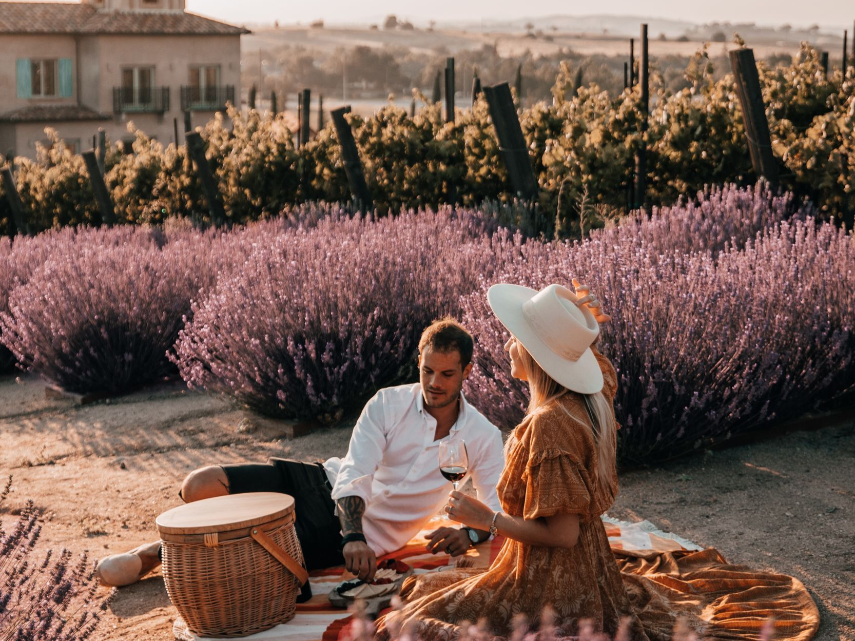 Couple having picnic in lavender field