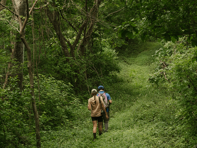 Hikers walking on a grassy path surrounded by dense tropical foliage near Morgan's Rock Reserve & Ecolodge