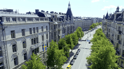 View of a street with trees near The Sparrow Hotel