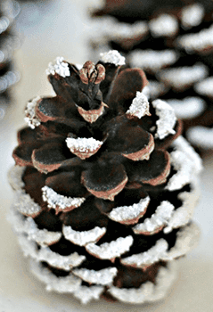 Collage d'objets d'artisanat inspirés de Noël, Les meilleures choses à faire à Toronto pendant les fêtes à l'hôtel X