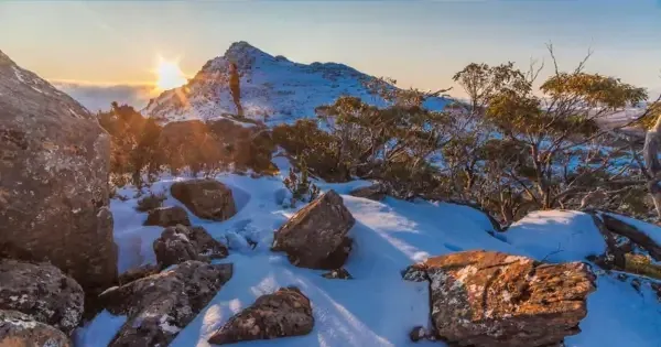 person stands on snowy Mount Field National Park with sun in backdrop