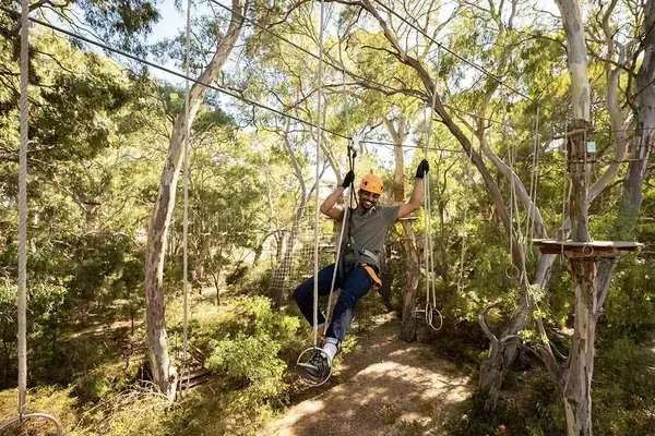 Adventurer takes on TreeClimb in Adelaide city