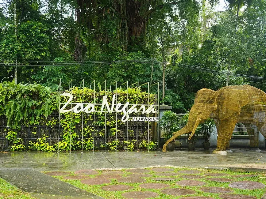 Large elephant sculptures in National Zoo, a famous place to visit in Kuala Lumpur near Imperial Lexis - Imperial Lexis Kuala Lumpur