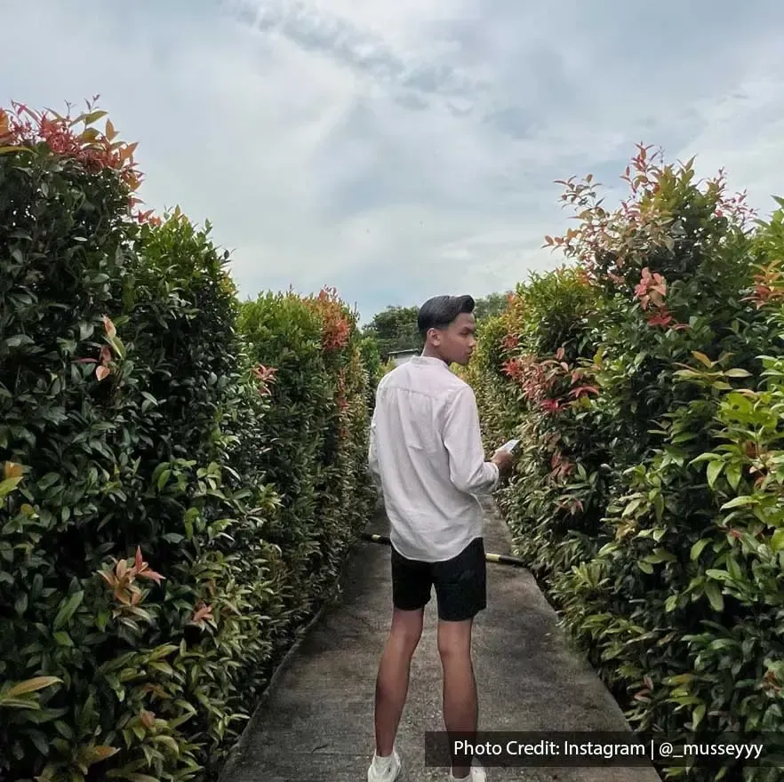 Create cool photos to fill your Instagram feed here at PD Maze - Lexis Hibiscus PD