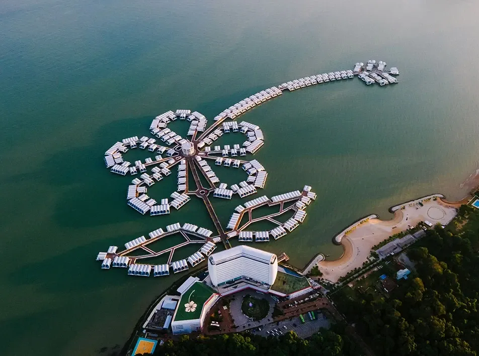 Aerial view of Lexis Hibiscus captured in a floral design.