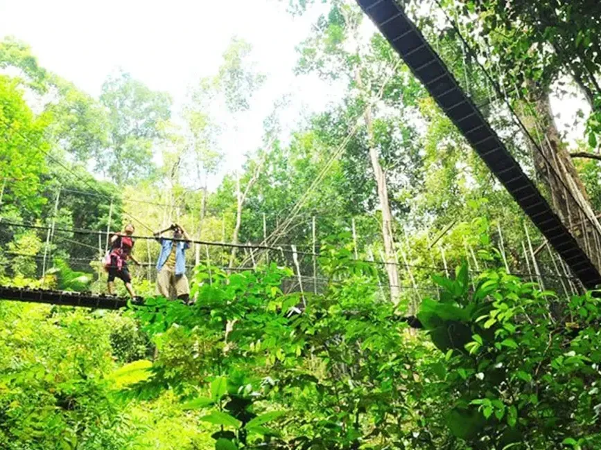 Two people walking across a suspension bridge in the jungle of Penang National Park - Lexis Suites Penang