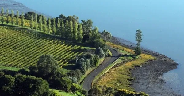 Aerial view of Tamar Valley