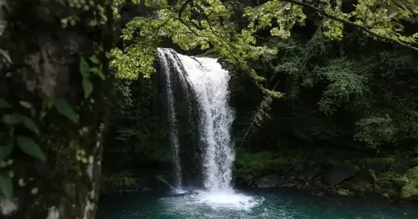 Waterfall cascading into a clear turquoise pool surrounded by lush green forest