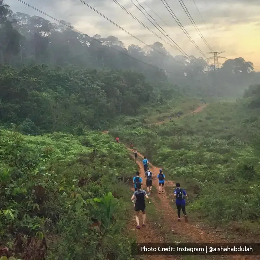 group of people jogging on forest trail