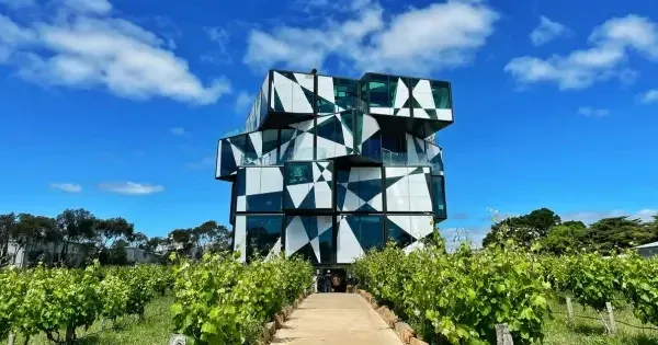 Modern glass cube building surrounded by vineyards at d’Arenberg Cube in McLaren Vale