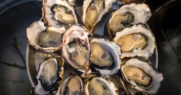 A plate of fresh oysters from Get Shucked Oyster Farm